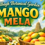 lalbagh botanical garden mango mela