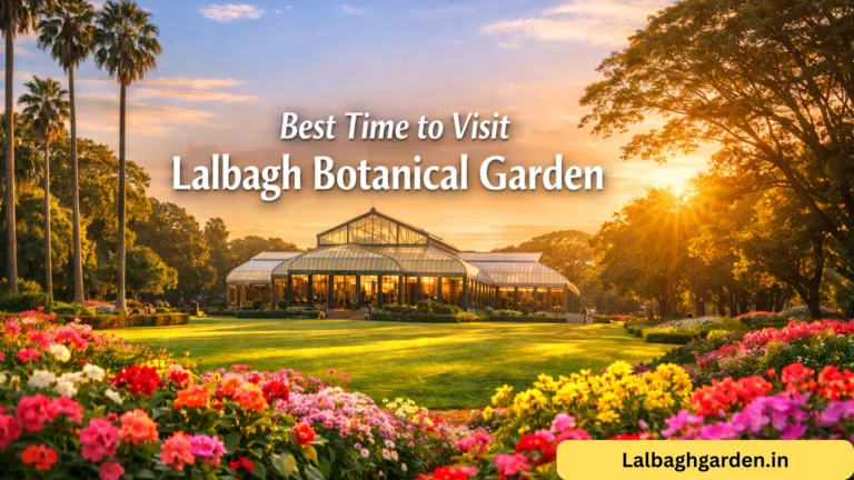 best time to visit lalbagh botanical garden