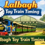 lalbagh toy train timing