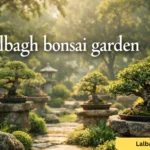 lalbagh bonsai garden