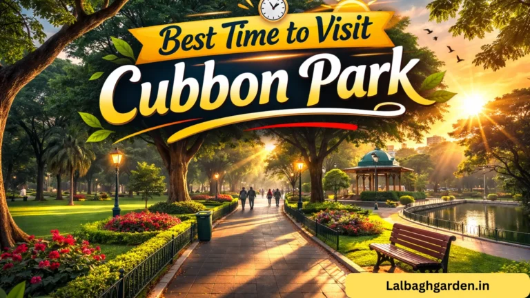 Best Time to Visit Cubbon Park: Morning or Evening?