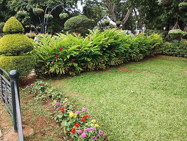 Lalbagh Independence Day Flower Show