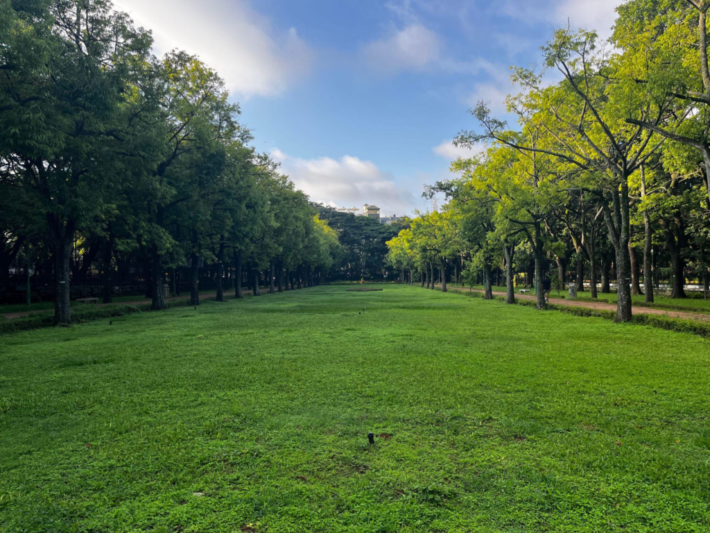 Cubbon Park in the Morning