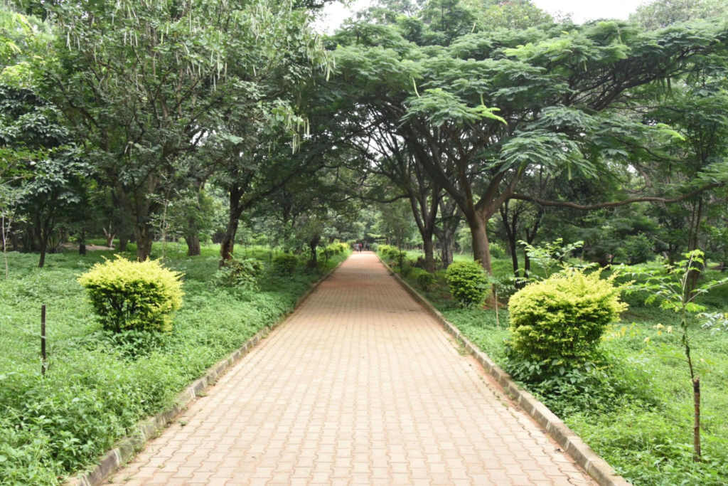 Cubbon Park
