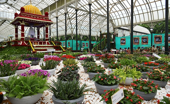 lalbagh botanical garden flower show