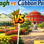 Lalbagh vs Cubbon Park