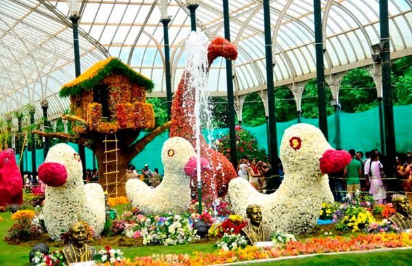 Lalbagh Flower Show