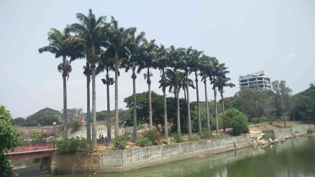 lalbagh lake