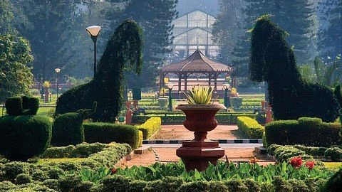 Lalbagh Rose Garden