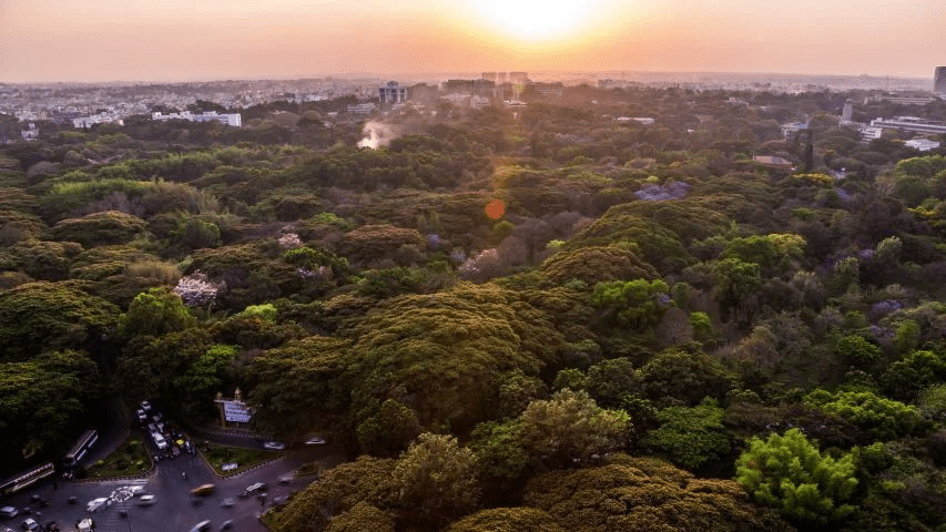 Cubbon Park sunset