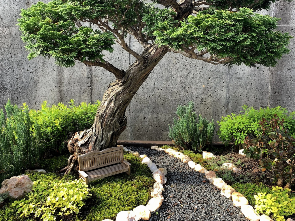 Bonsai Section